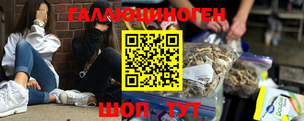 Ртищево  цена   Вход с VPN  Псилоцибиновые грибы Magic Shrooms  Псилоцибиновые грибы Psilocybe 